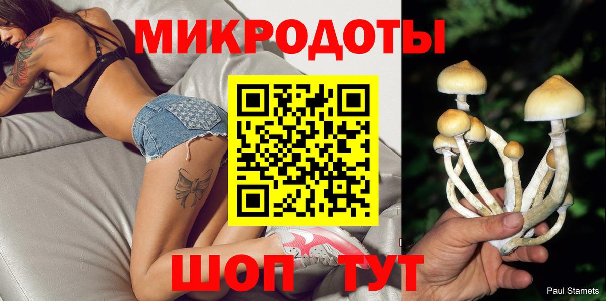 Майкоп  Галлюциногенные грибы Psilocybe  Вход с VPN 